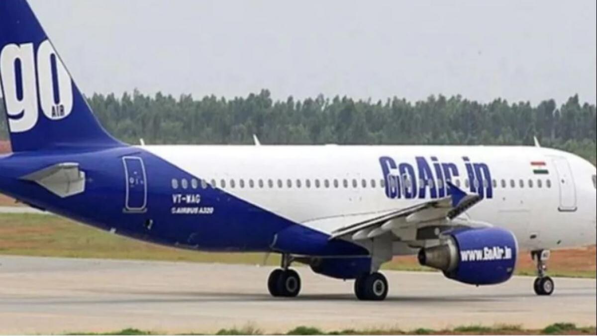 कुत्ता बना रकुावट, टेक ऑफ ही नहीं कर पाया लेह टू दिल्ली GoAir विमान - go air flight dog runway leh delhi take off ntc - AajTak