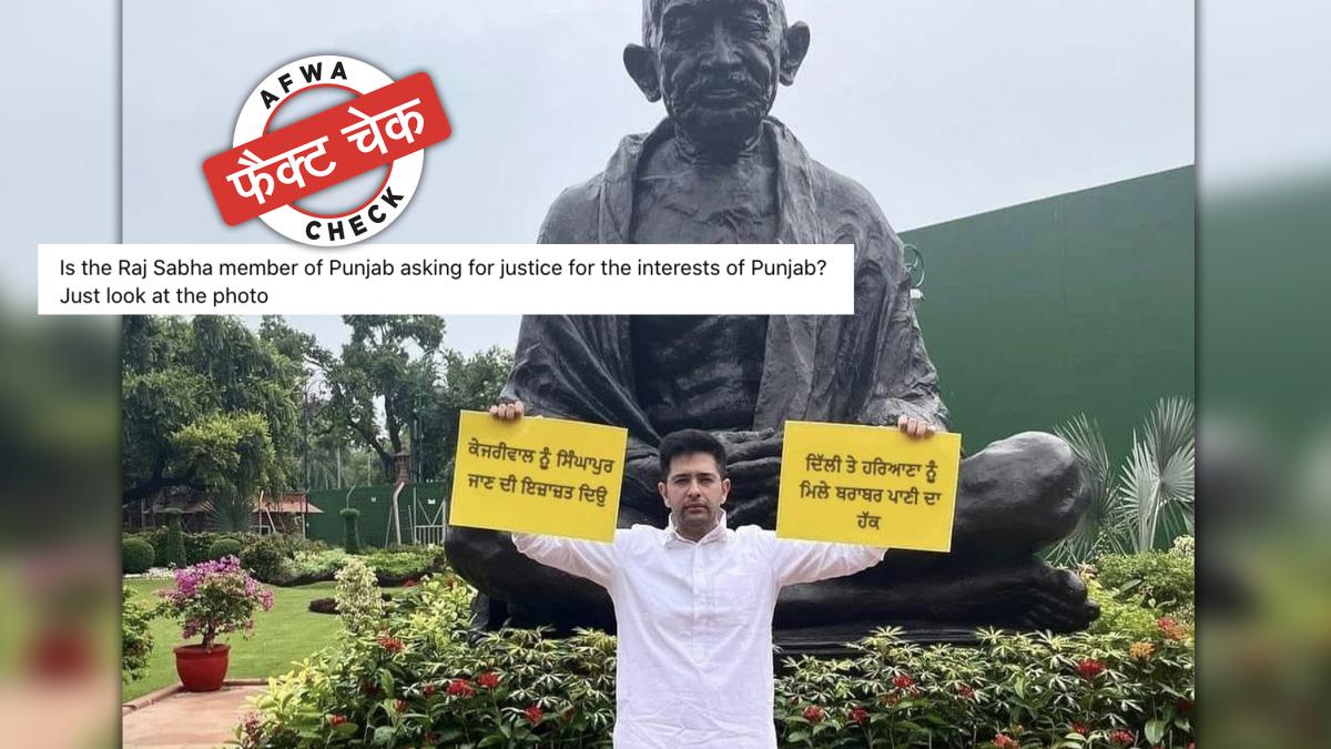 सोशल मीडिया यूजर्स