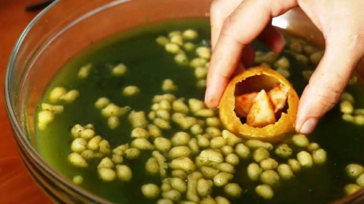 सांकेतिक तस्वीर