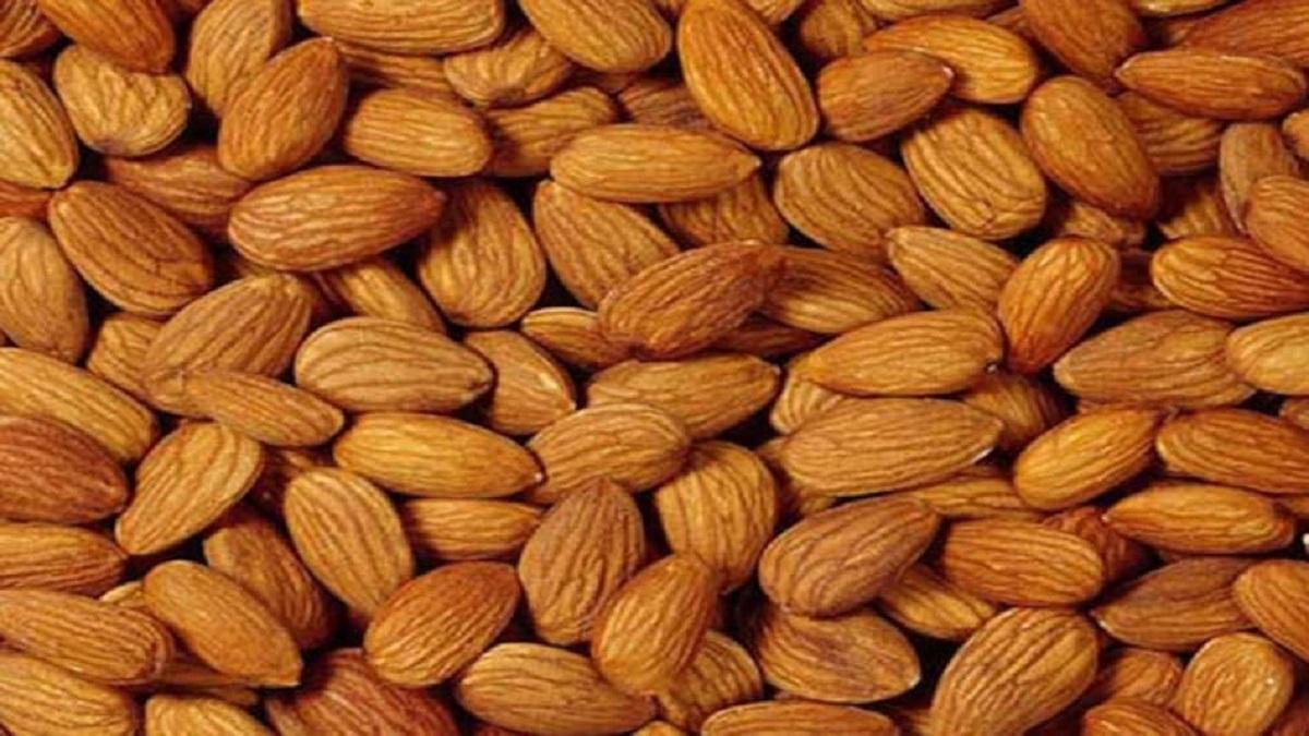 Almond Cultivation