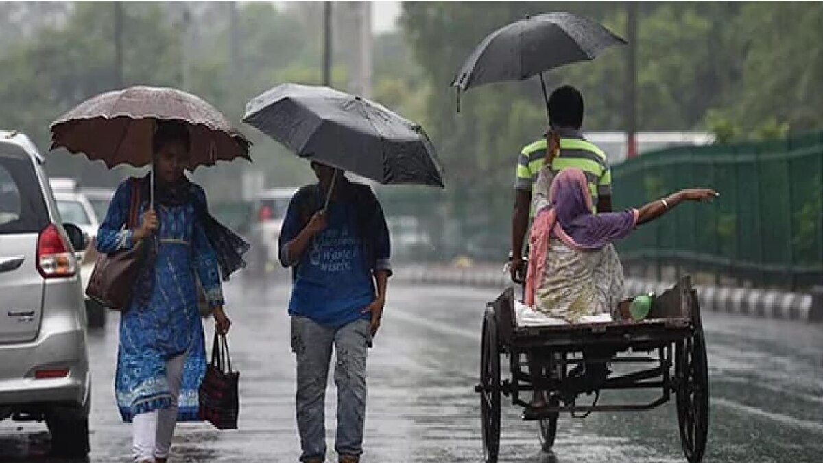 Rainfall Alert (Representational Image)