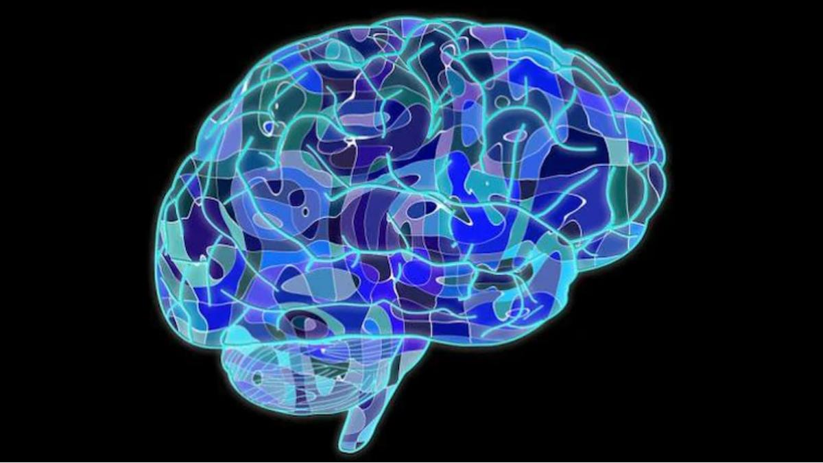 दिल्ली के अस्पताल ने ब्रेन मैपिंग डिवाइस लॉन्च की है. (प्रतीकात्मक तस्वीर)