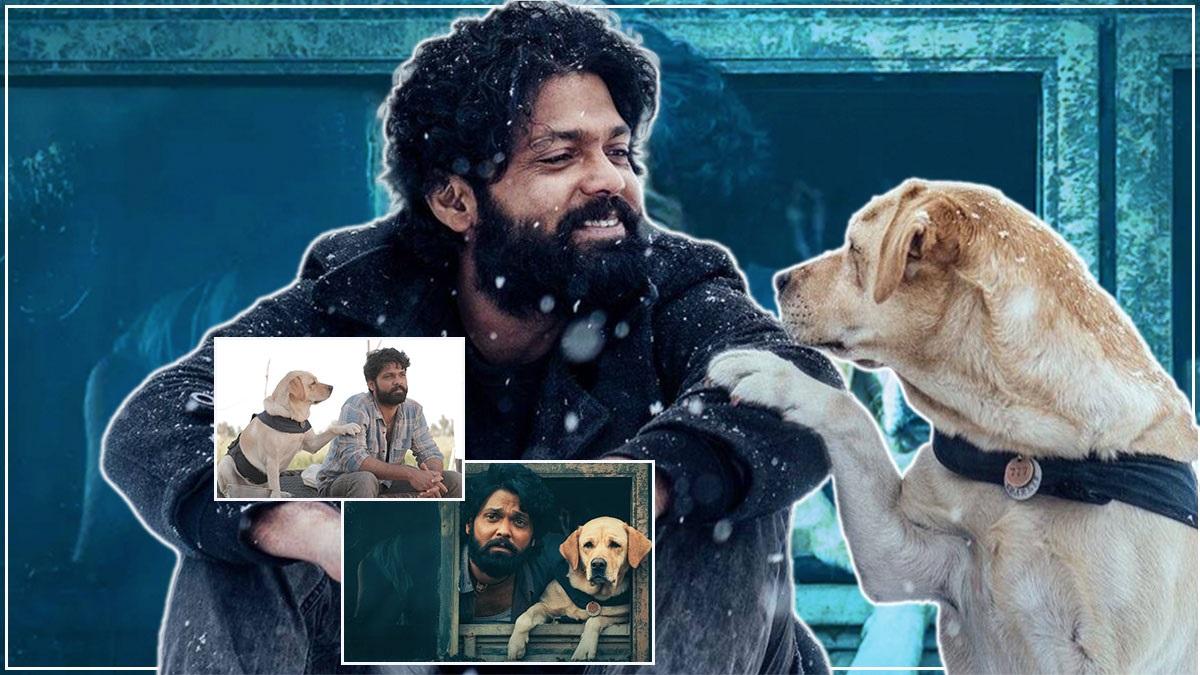 777 Charlie: पहले तंग आया मालिक, फिर भाग खड़े हुए ट्रेनर्स, जानें पर्दे पर चार्ली के सुपरहिट होने की पूरी कहानी