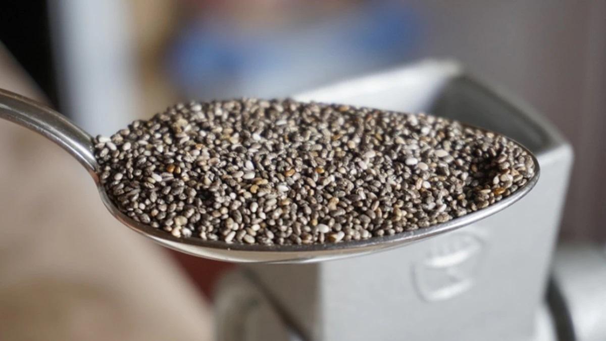 Chia Seeds Cultivation