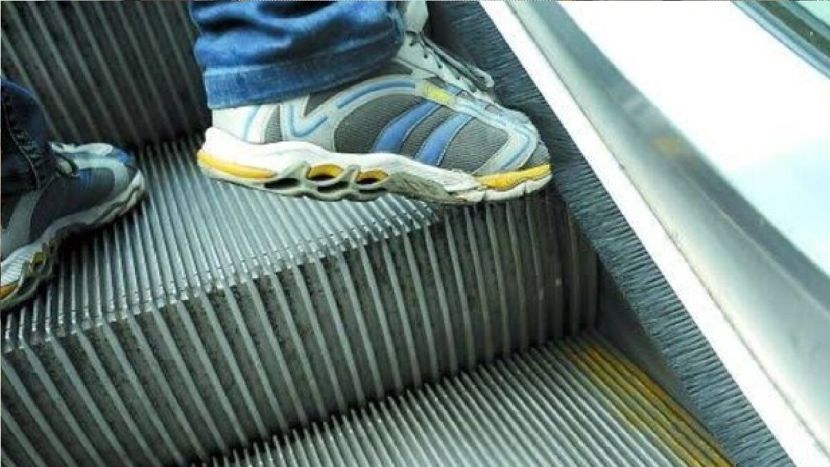 Did You Know Facts (Representational Image)