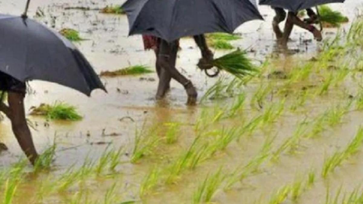 Farmers of Uttar Pradesh will get accurate information about rain 