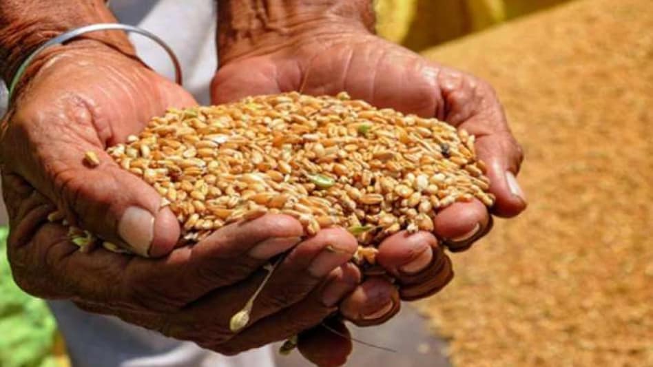UP में अब अंत्योदय व पात्र गृहस्थी कार्ड धारकों को नहीं मिलेगा फ्री राशन - Uttar Pradesh Antyodaya and eligible household card holders free ration scheme will be closed lcl - AajTak