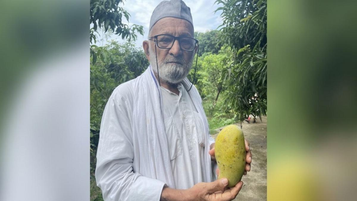 आम की नई किस्म का सुष्मिता सेन