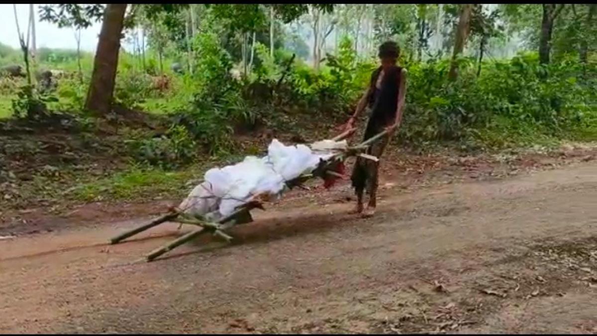 मां के शव को ले जाता बेटा