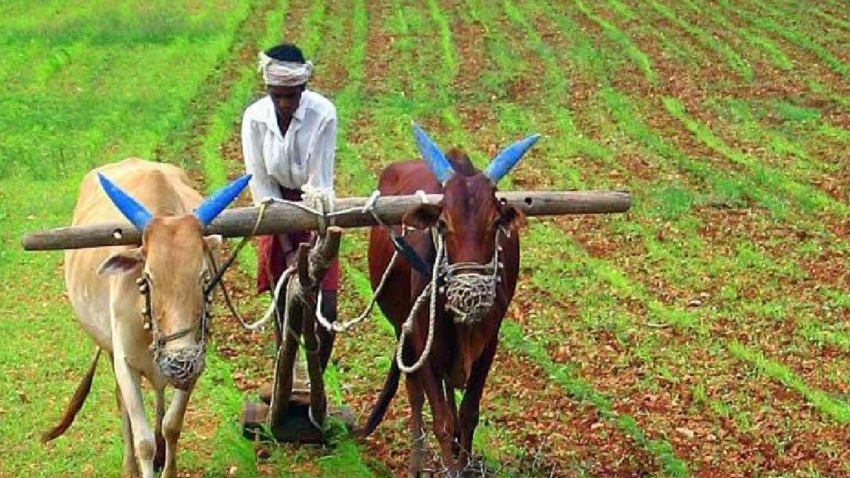 Schemes For Farmers (Representational Image)