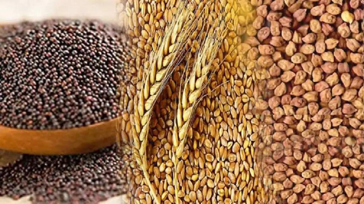 Online Portal For Seeds