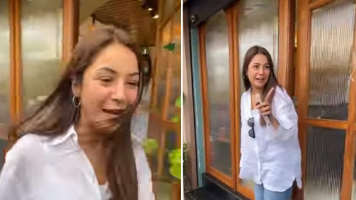 शहनाज गिल