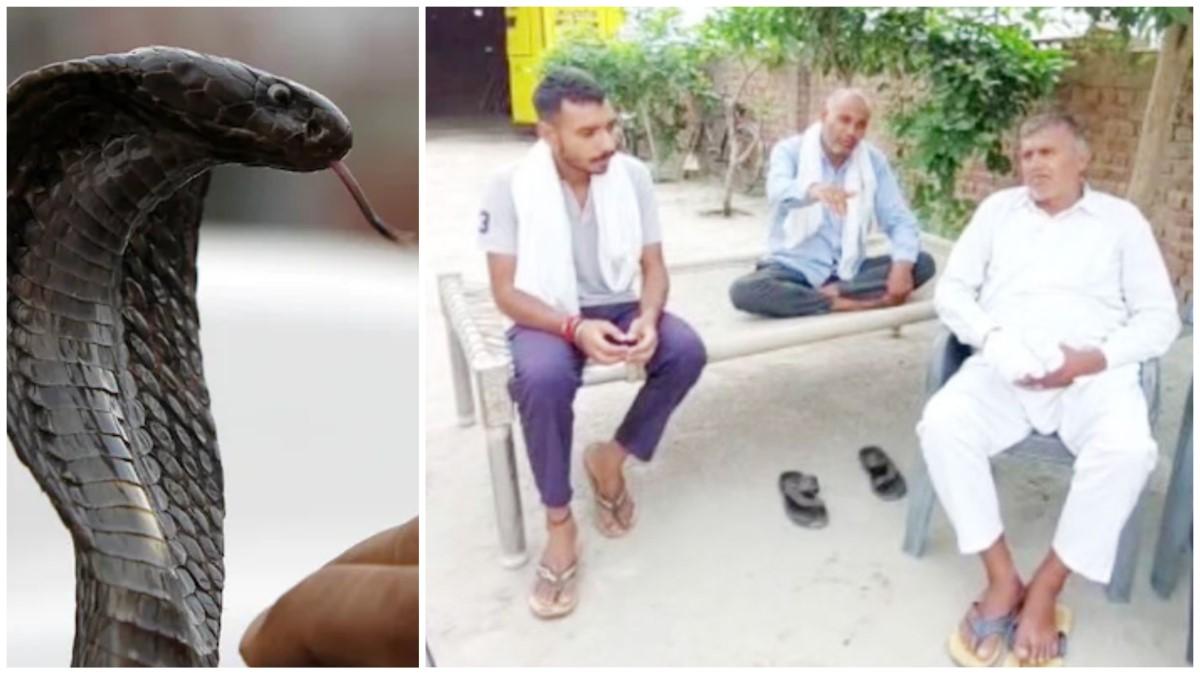 सांप की वजह से दहशत में गांव के लोग 
