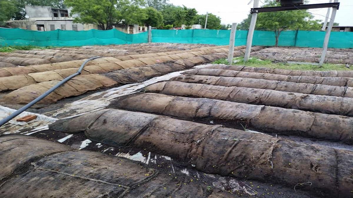 Waste decomposers use