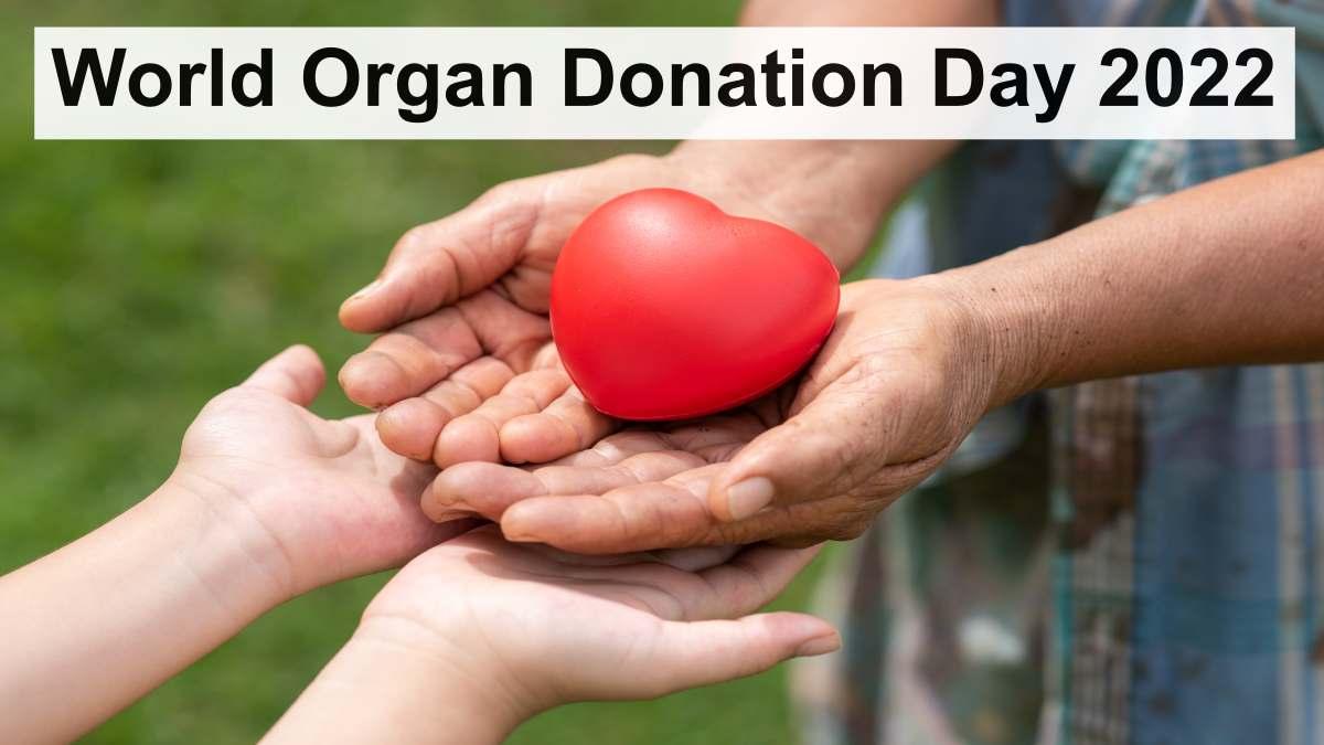 World Organ Donation Day (Photo: Freepik.com)