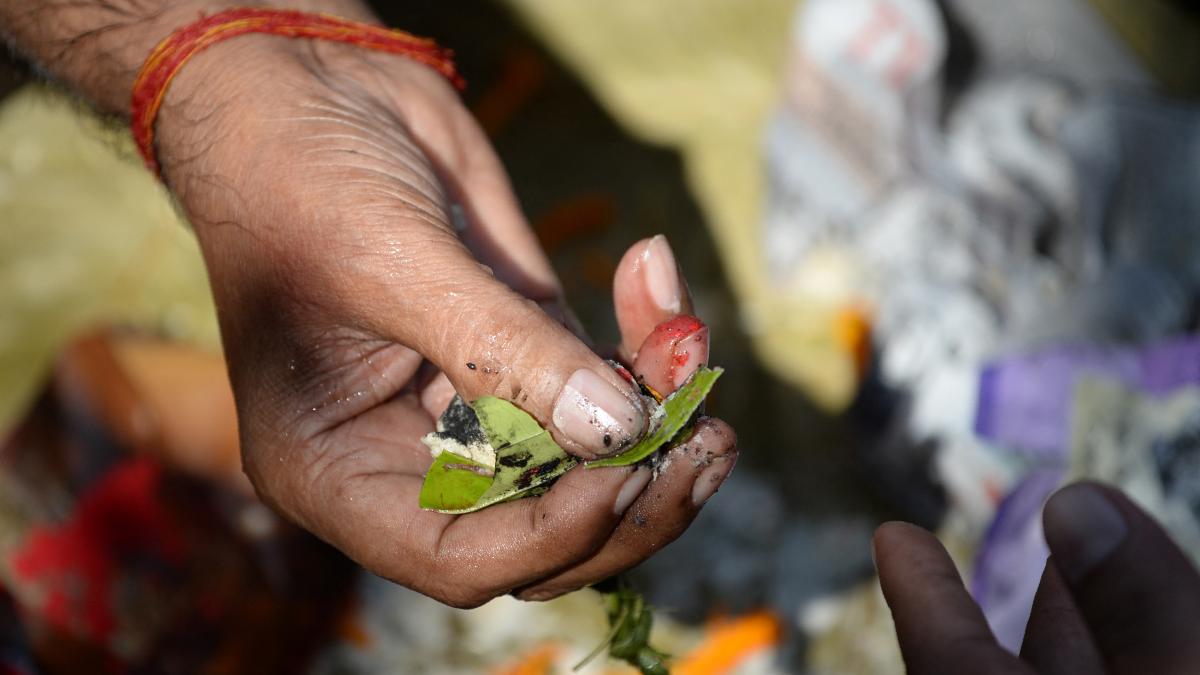 पितृ पक्ष 