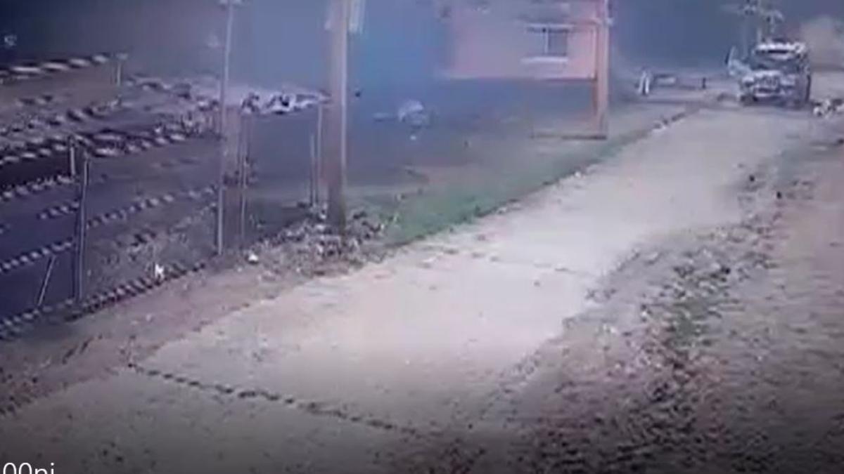 बकरी की चोरी CCTV में कैद