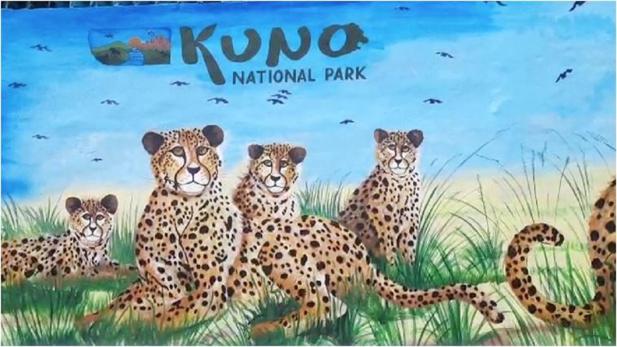 5 राज्य और 10 साइट: आखिर नामीबिया के चीतों के लिए क्यों चुना गया MP का कूनो नेशनल पार्क?