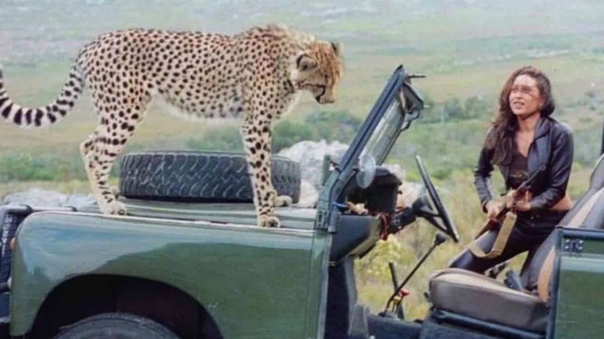 करिश्मा कपूर अफ्रीका में चीता के साथ