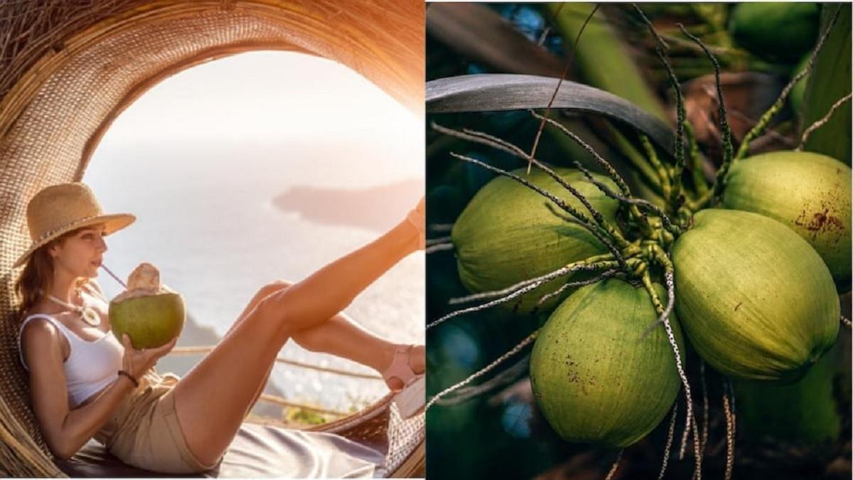 नारियल के फायदे