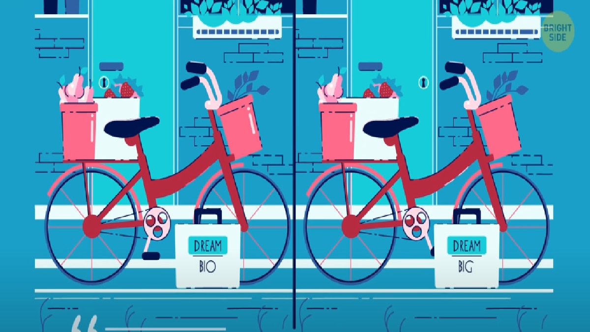 Can You Spot Differences (Pic Credit: Bright Side)