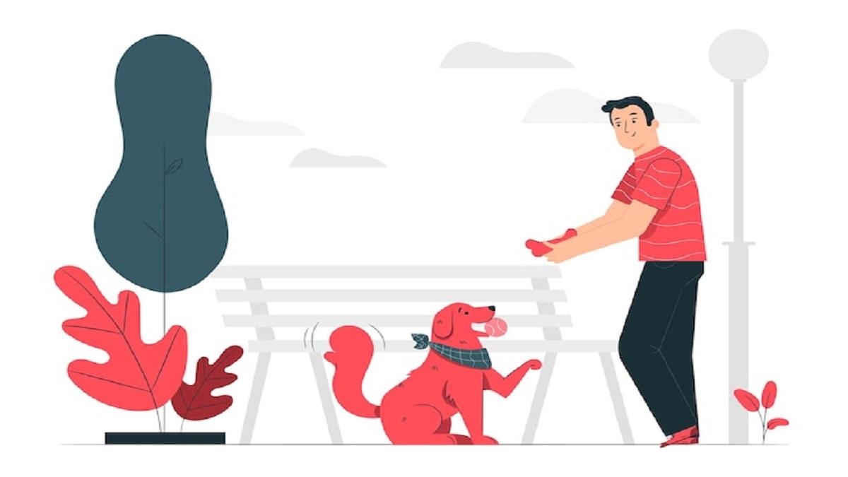 How to make your dogs disciplined