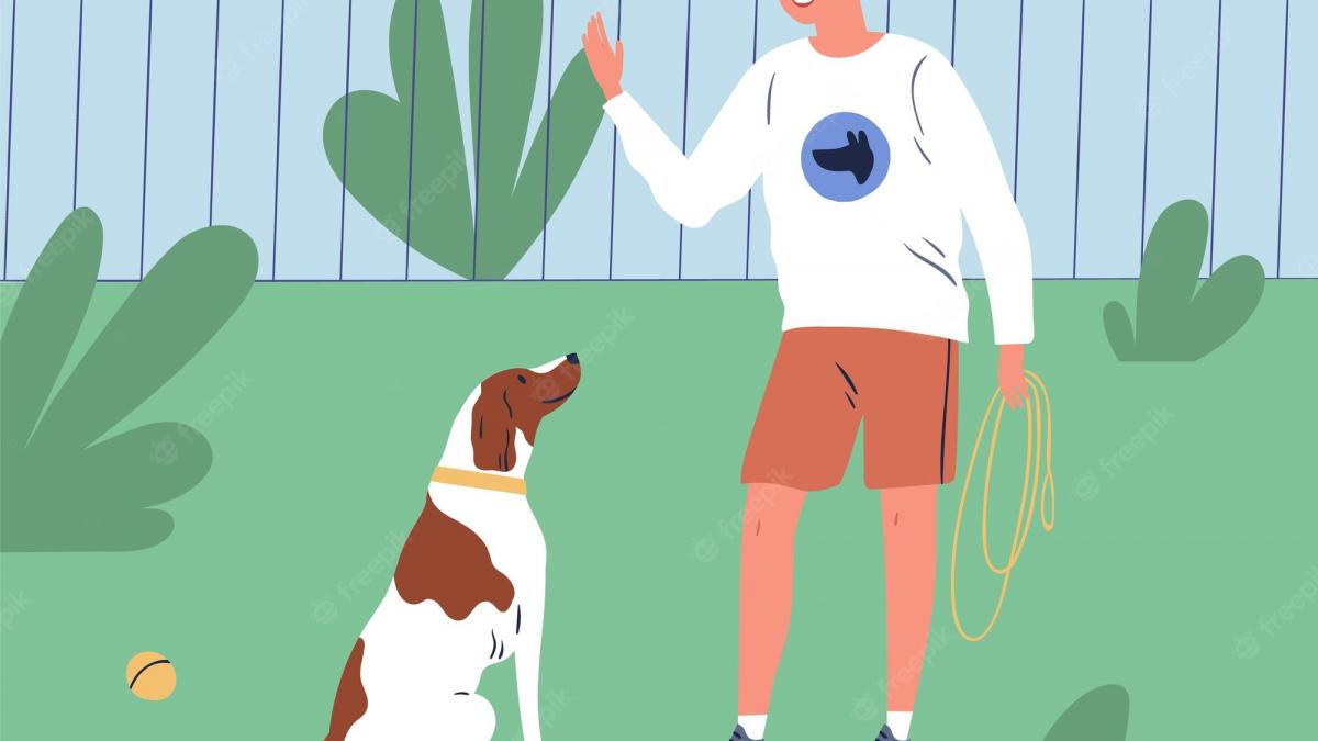 Teach your doggy hand signal (Pic credit: Freepik)