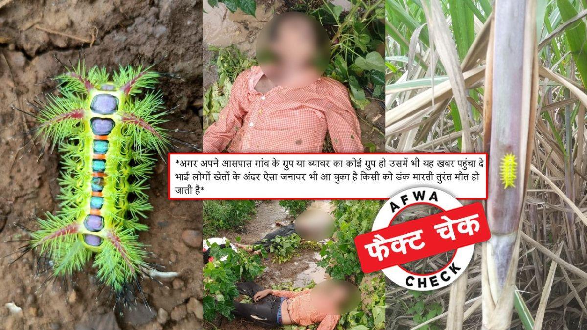 सोशल मीडिया यूजर्स