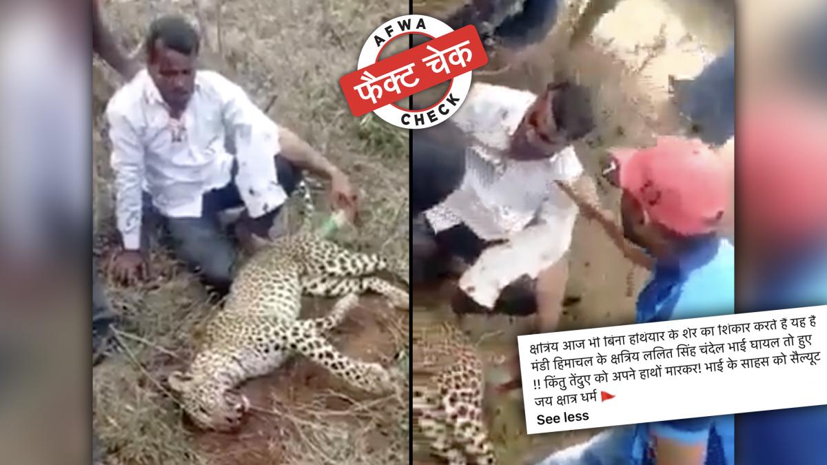 सोशल मीडिया यूजर