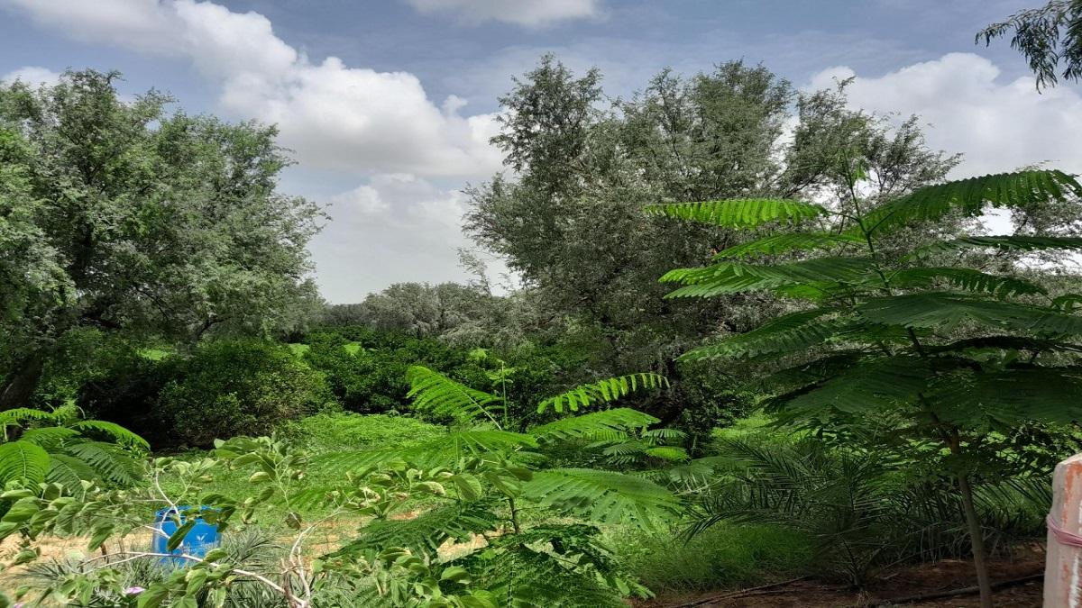 Farming Success Story