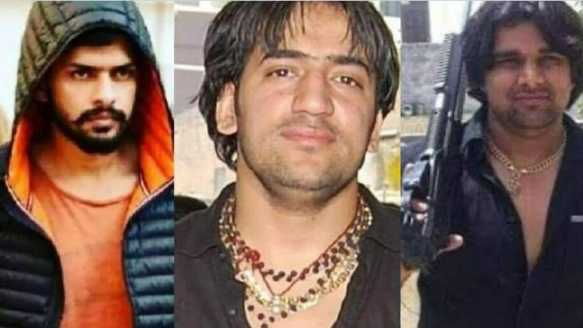  लॉरेंस बिश्नोई-नीरज बवाना-टिल्लू ताजपुरिया 