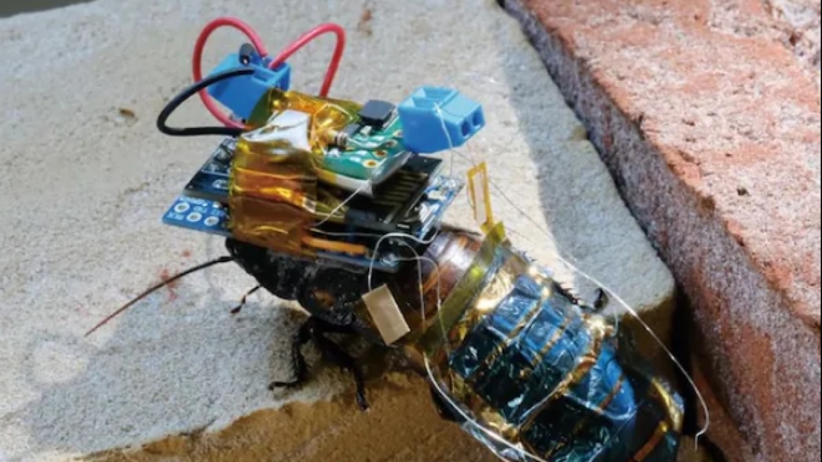 Photo Credit: npj Flexible Electronics 