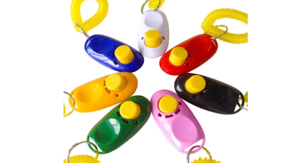 Pet Training Clicker (फोटो: Amazon)