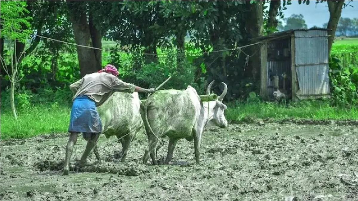  PM Kisan Yojana update