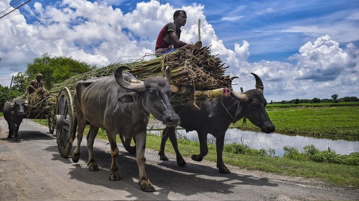 PM Kisan Mandhan Yojana