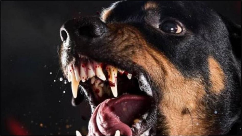 प्रतीकात्मक तस्वीर.