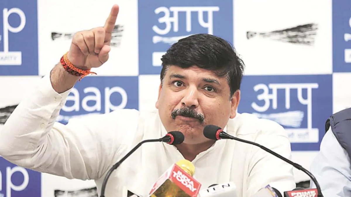 आप सांसद संजय सिंह (File Photo)