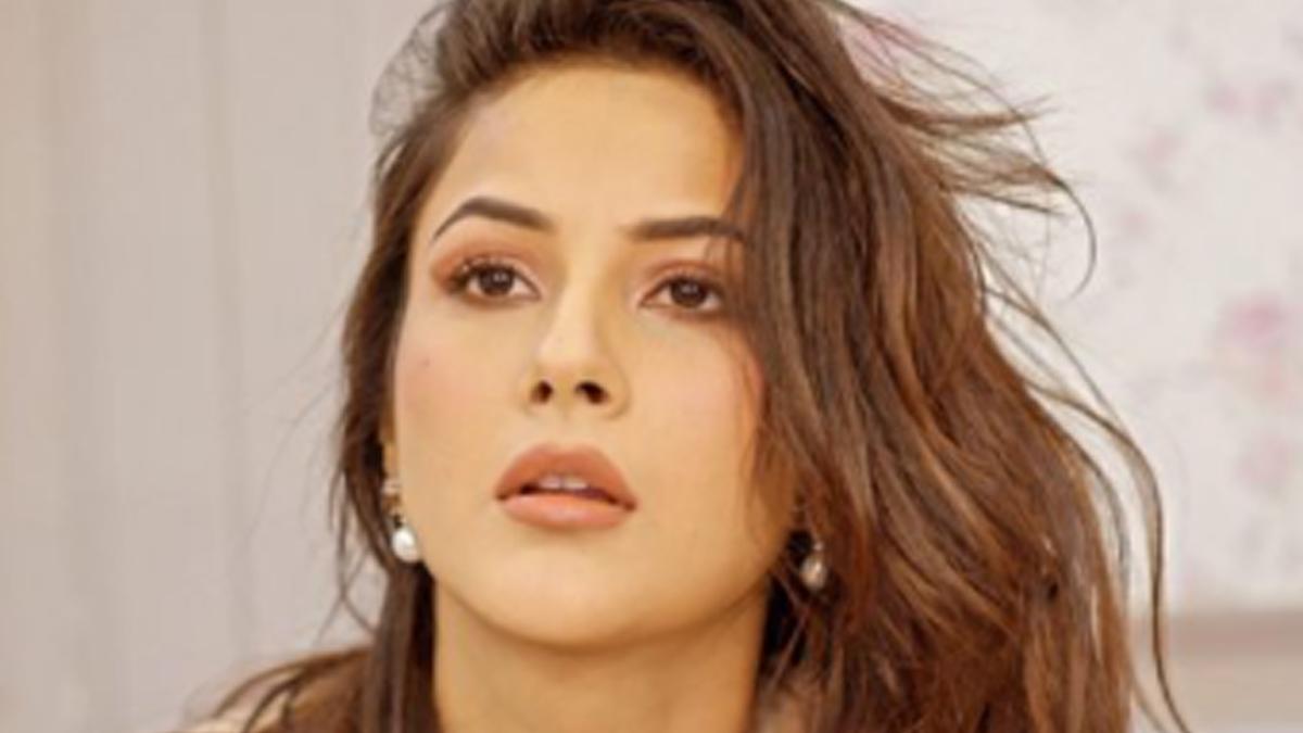 शहनाज गिल