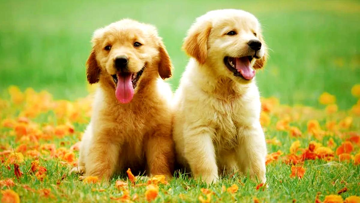 (Image credit: Pixabay)