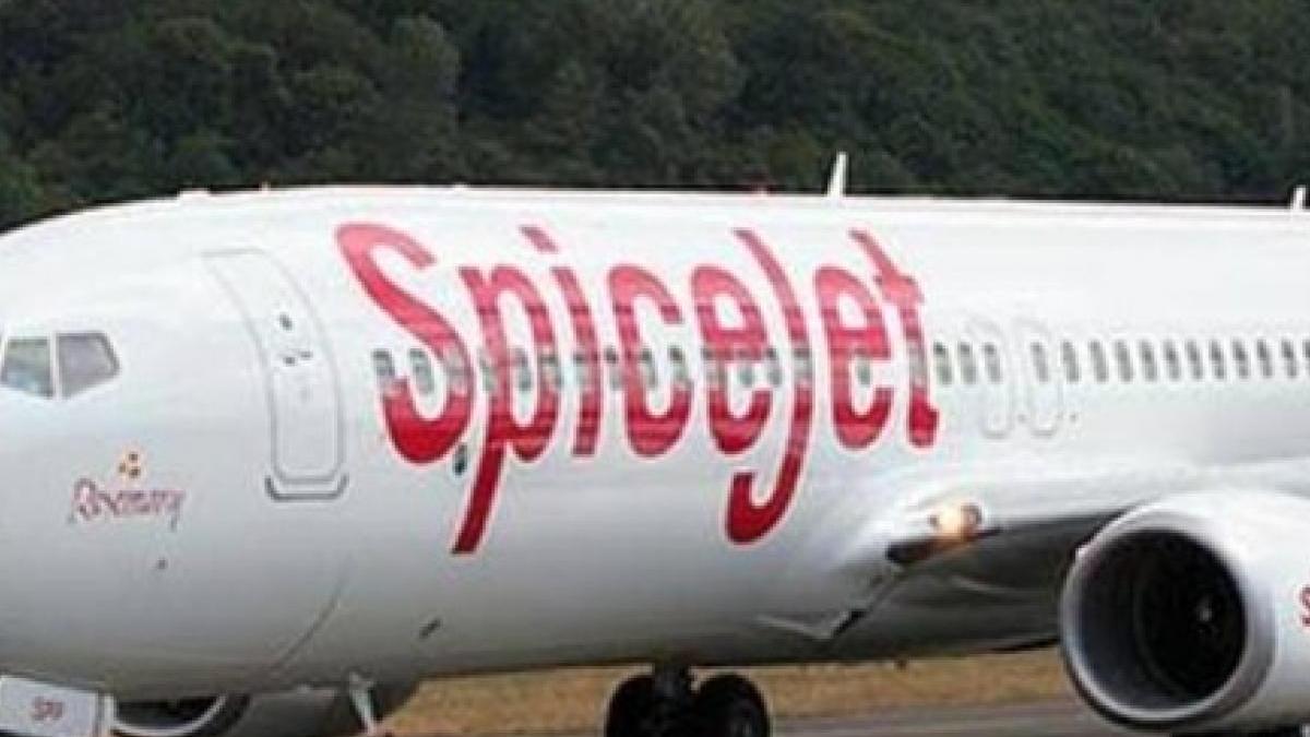 शेयर बजार