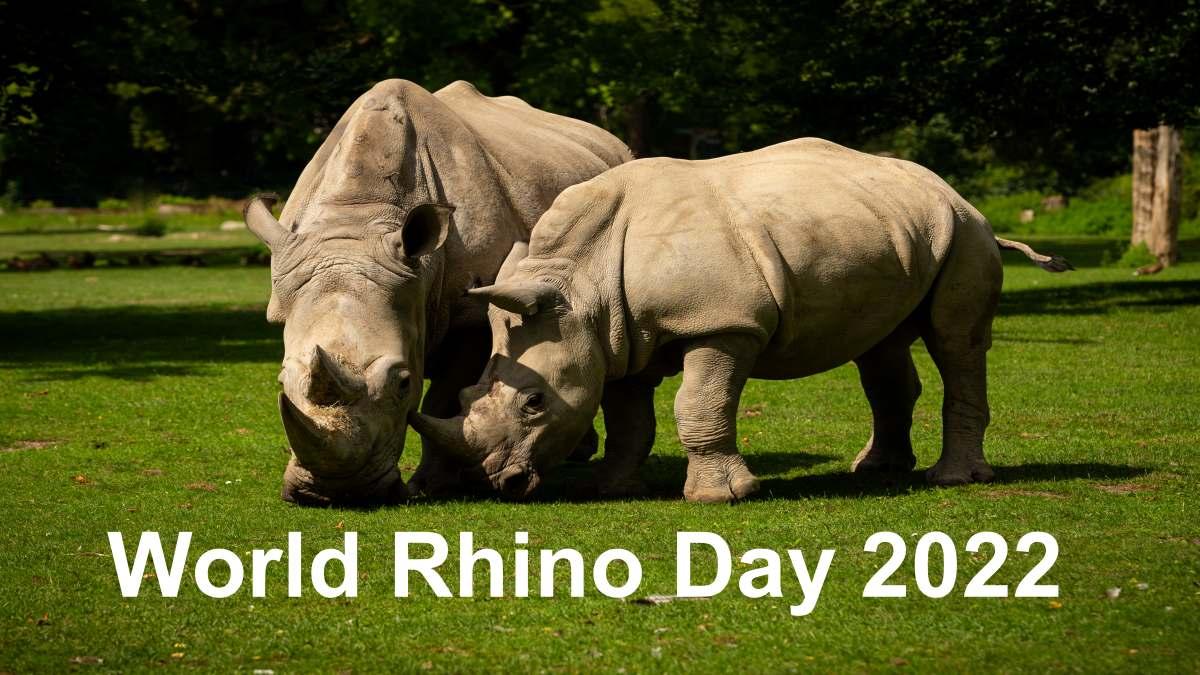 World Rhino Day 2022 (Image Source: Freepik.com)