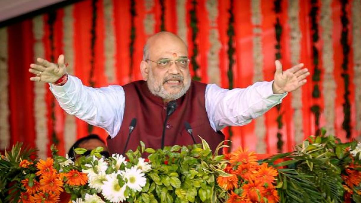 गृह मंत्री अमित शाह (पीटीआई)