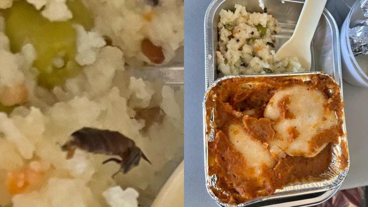 यात्री की शिकायत पर एयरलाइन कंपनी ने किया रिप्लाई (Pic- @manikul008/twitter) 