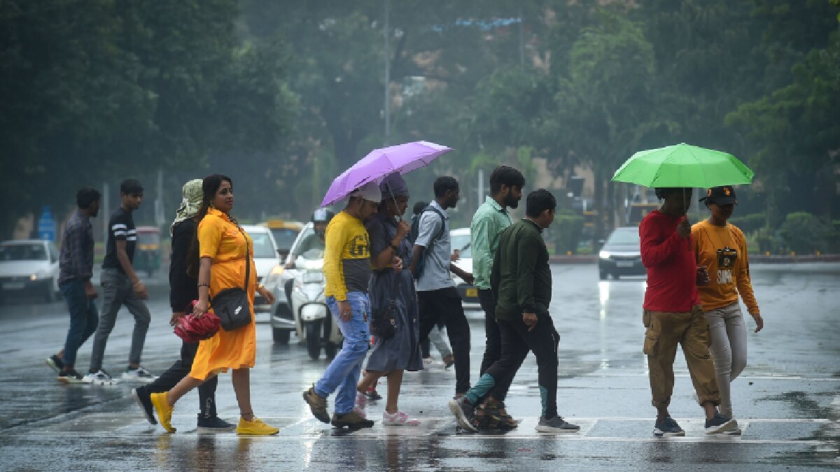 Delhi Weather Update (PTI)