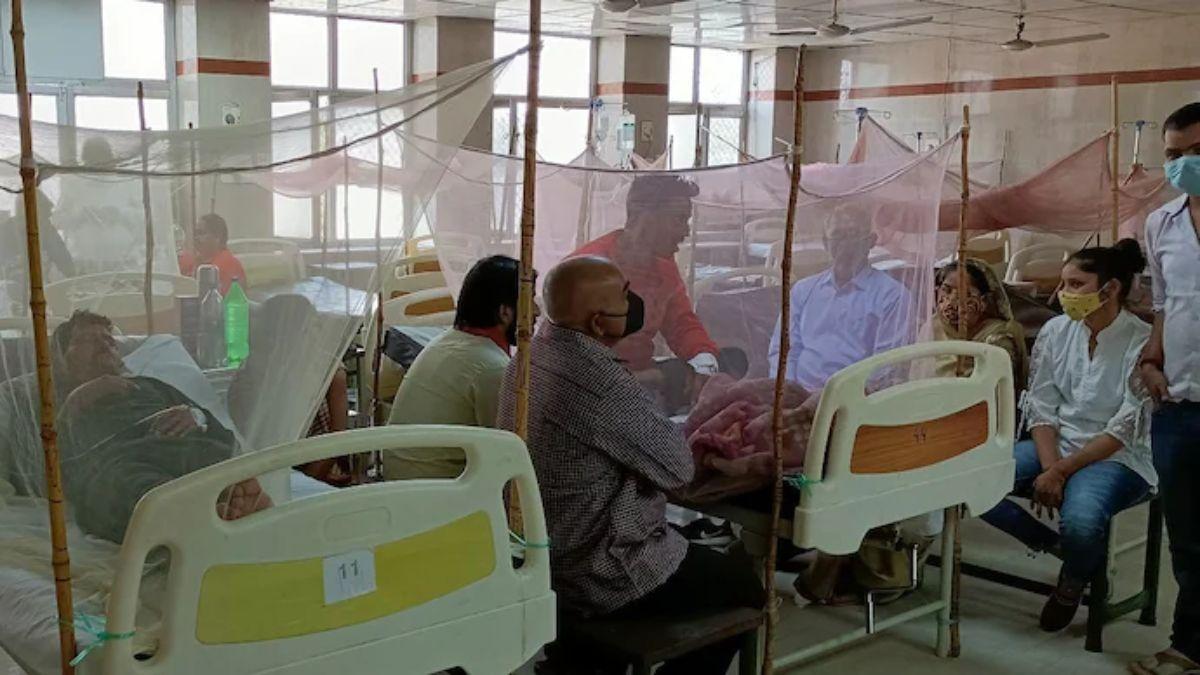 यूपी में इस साल डेंगू के 18000 से ज्यादा मामले दर्ज किए जा चुके (फाइल फोटो)
