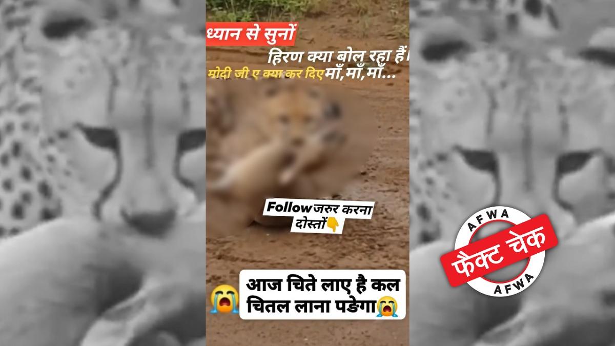 सोशल मीडिया यूजर्स 