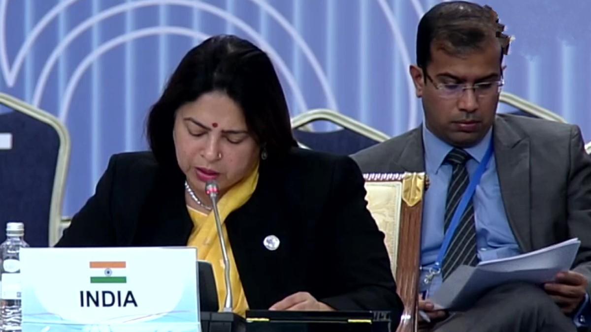 मीनाक्षी लेखी (सांकेतिक तस्वीर)