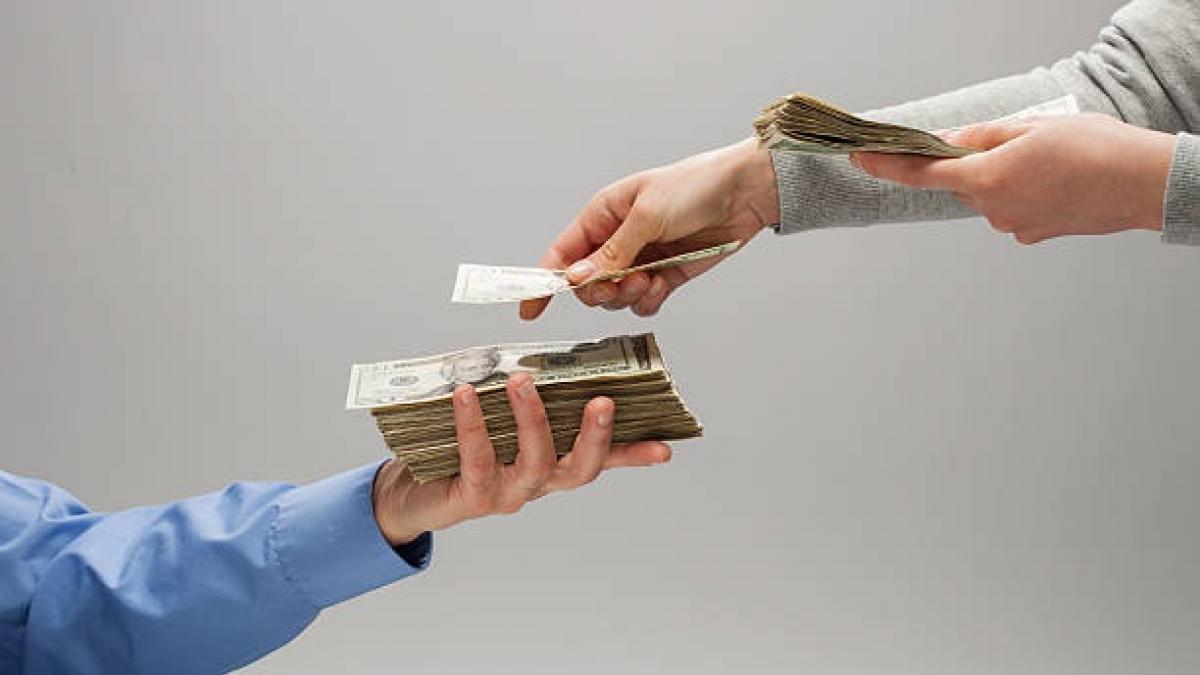 'बायोडायवर्सिटी सुपरवाइजर' पद के लिए निकली है नौकरी (प्रतीकात्‍मक फोटो/गेटी)