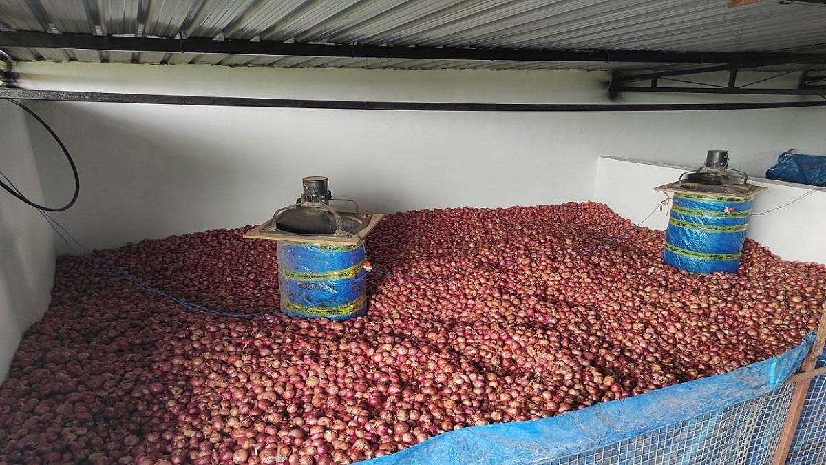 Subsidy On Onion Farming