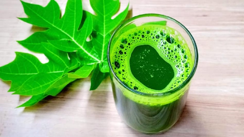 Papaya Leaf Benefits in Dengue